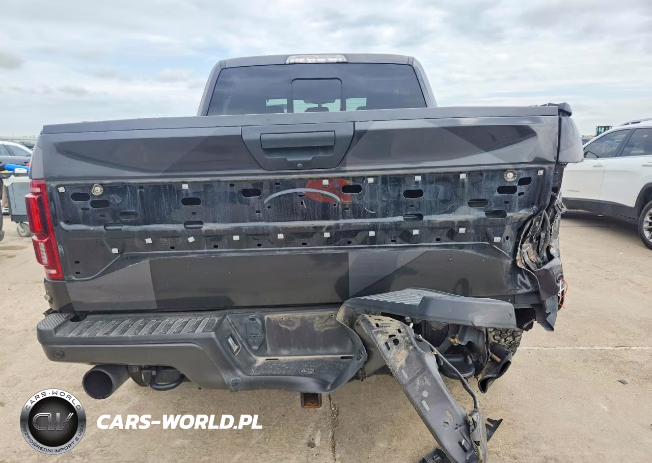2020 Ford F150 Raptor VIN:1FTFW1RG9LFA71309 - 6