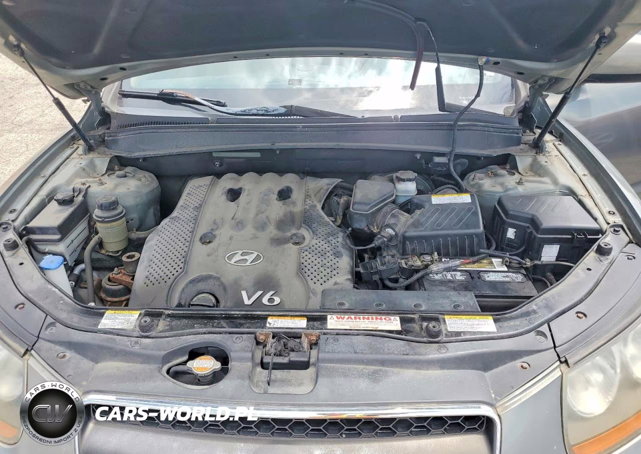 2007 Hyundai Santa Fe Gls VIN:KM8SG73DX7U147467 - 12