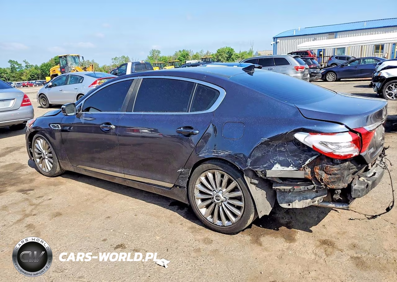 2015 Kia K900 Luxury VIN:KNALW4D46F6018957 - 2