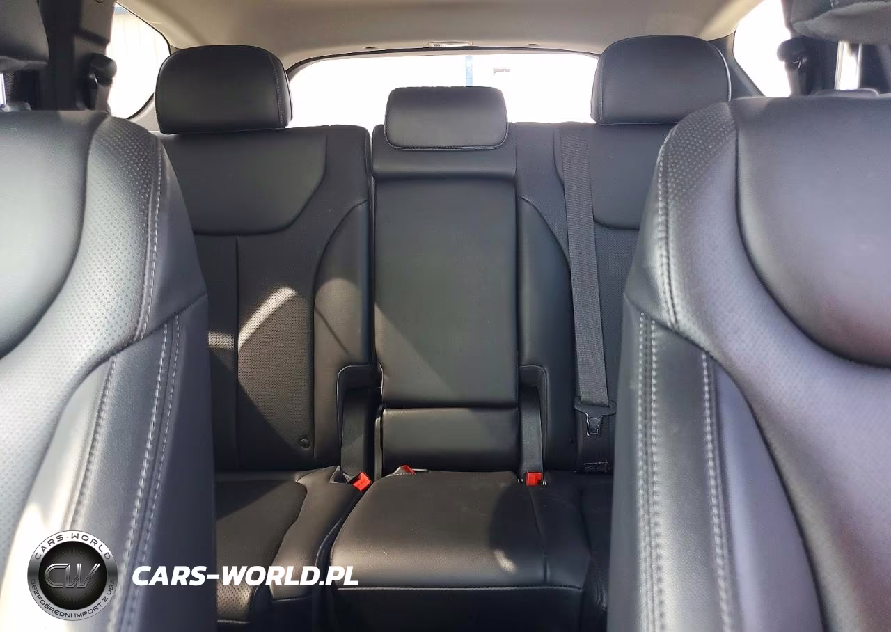 2023 Hyundai Santa Fe Sel Premium VIN:5NMS3DAJ7PH533665 - 10