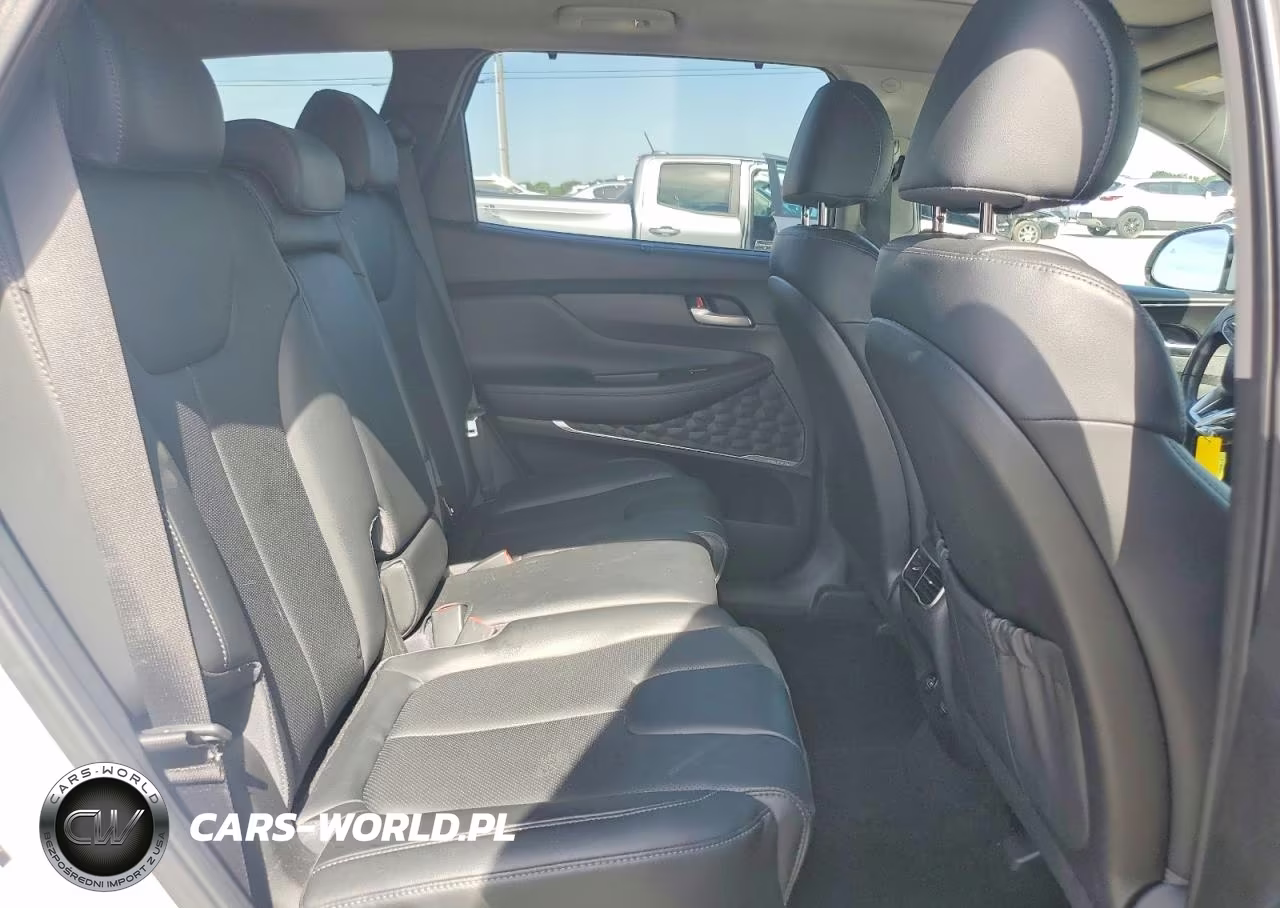 2023 Hyundai Santa Fe Sel Premium VIN:5NMS3DAJ7PH533665 - 11