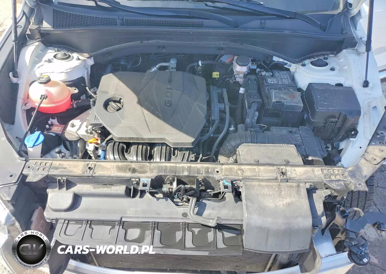 2023 Hyundai Santa Fe Sel Premium VIN:5NMS3DAJ7PH533665 - 12