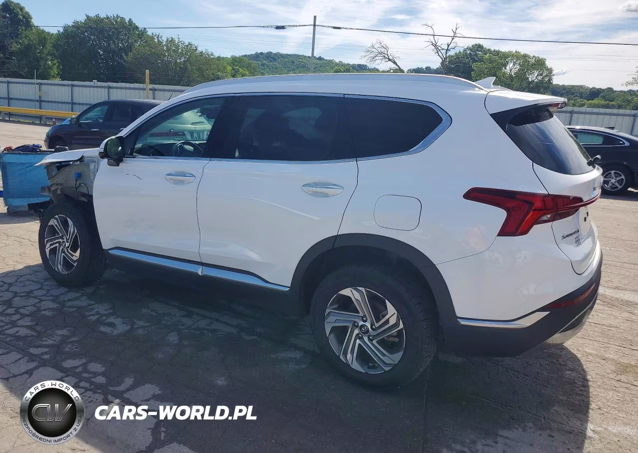 2023 Hyundai Santa Fe Sel Premium VIN:5NMS3DAJ7PH533665 - 2