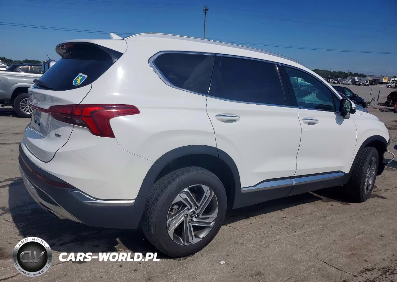 2023 Hyundai Santa Fe Sel Premium VIN:5NMS3DAJ7PH533665 - 3