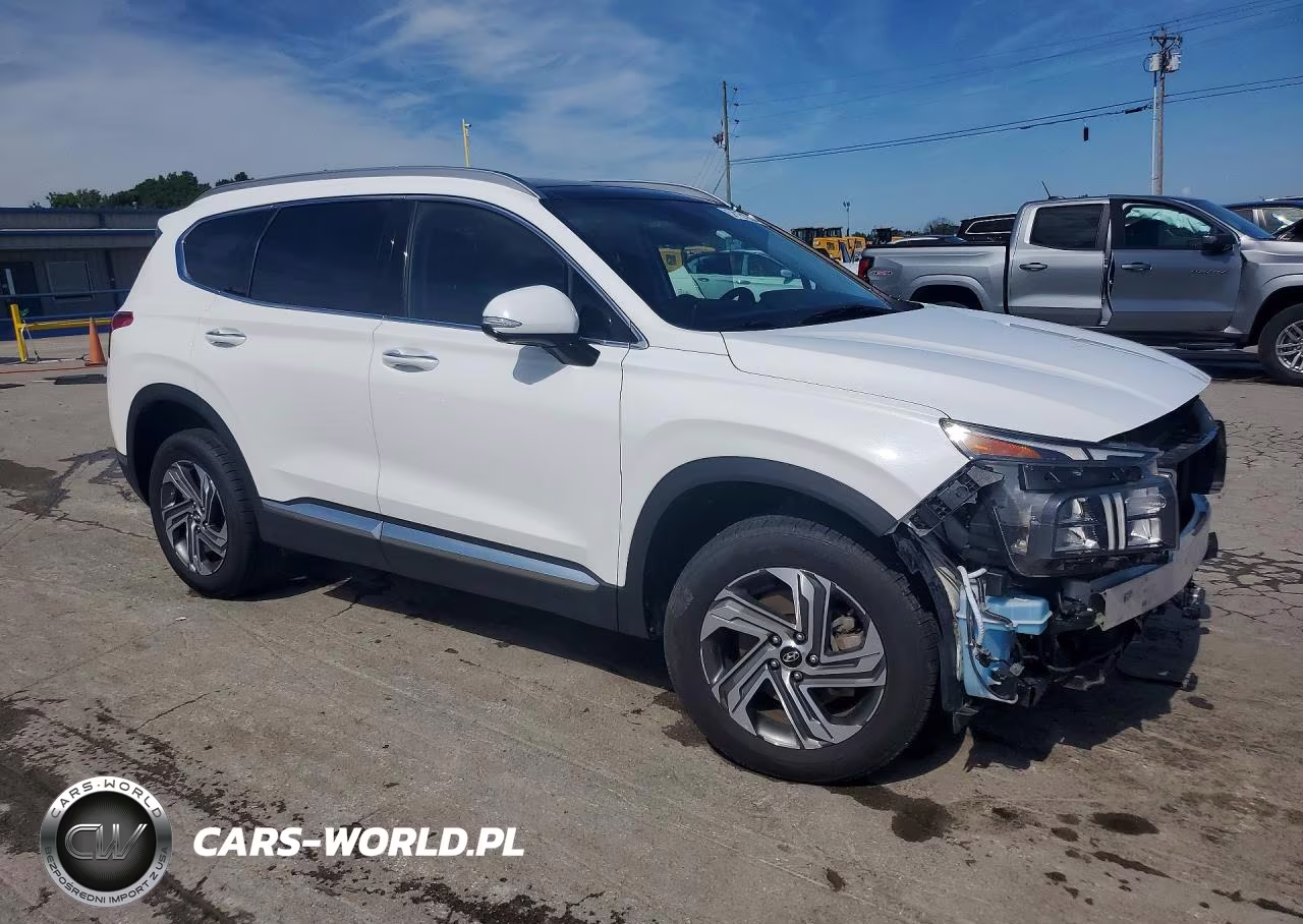 2023 Hyundai Santa Fe Sel Premium VIN:5NMS3DAJ7PH533665 - 4