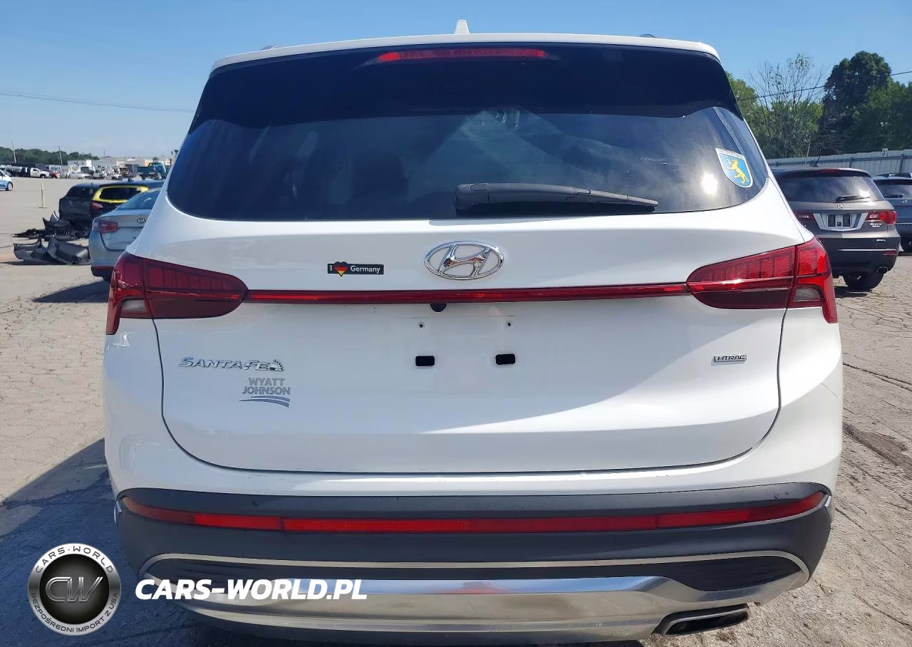 2023 Hyundai Santa Fe Sel Premium VIN:5NMS3DAJ7PH533665 - 6