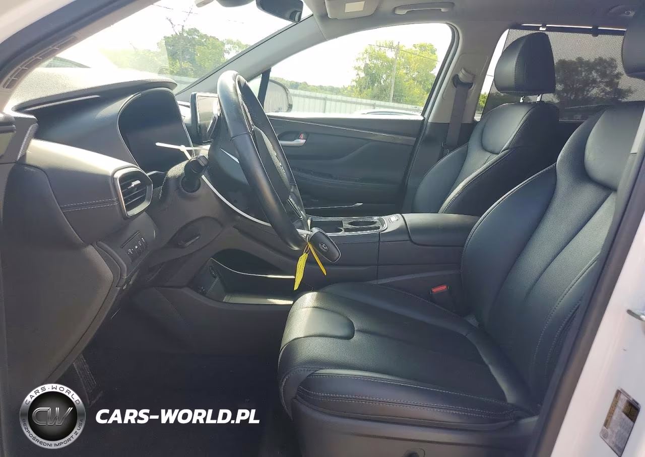 2023 Hyundai Santa Fe Sel Premium VIN:5NMS3DAJ7PH533665 - 7