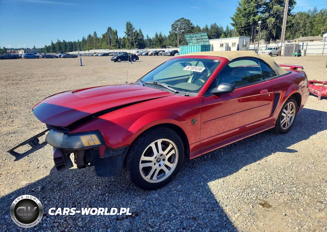 2004 Ford Mustang – zdjęcie 1 z 13
