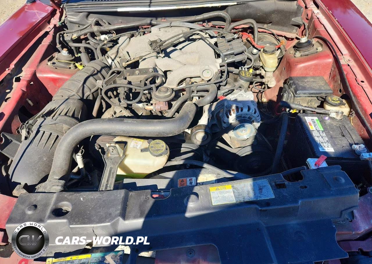 2004 Ford Mustang VIN:1FAFP44604F154650 - 11