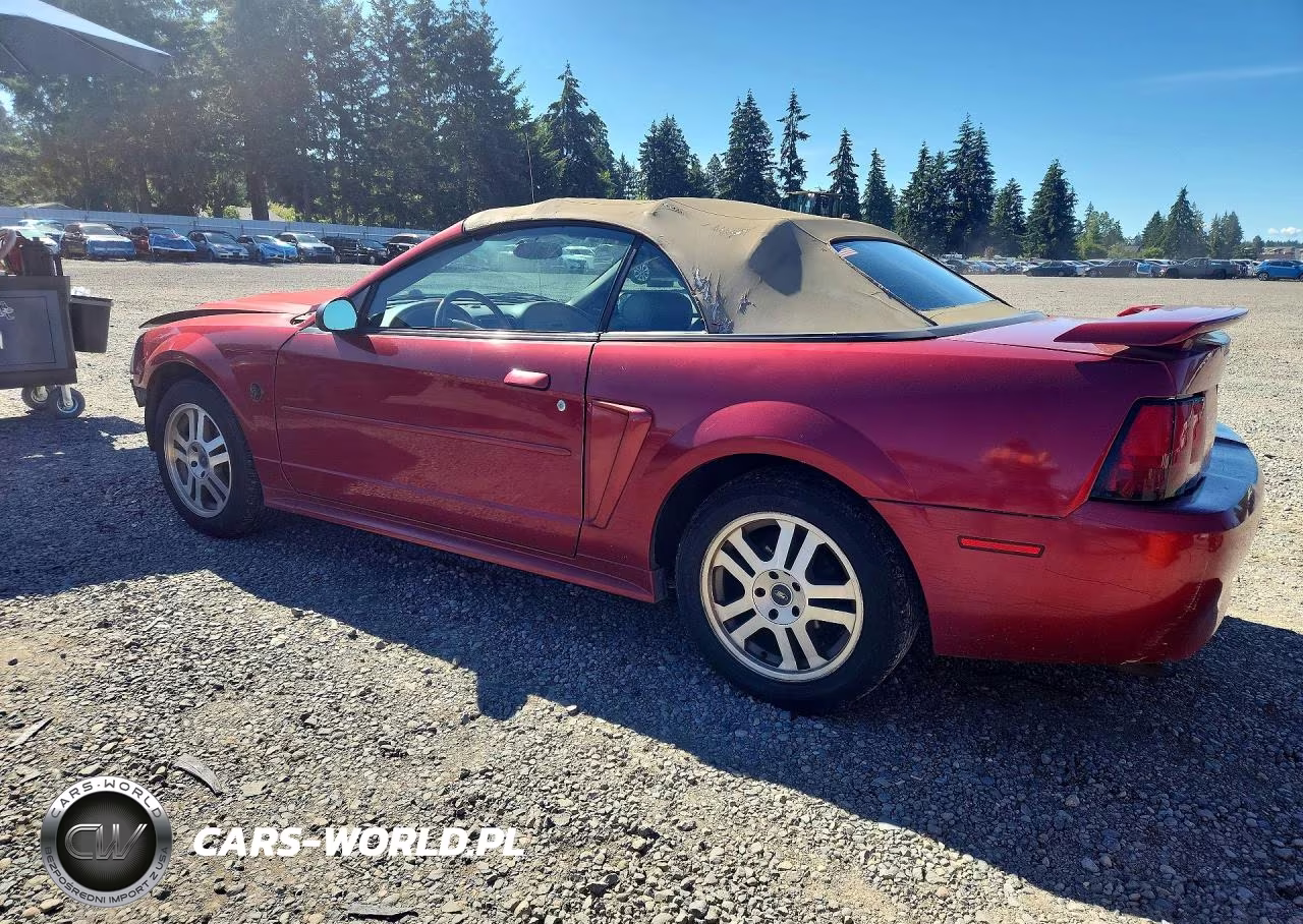 2004 Ford Mustang VIN:1FAFP44604F154650 - 2