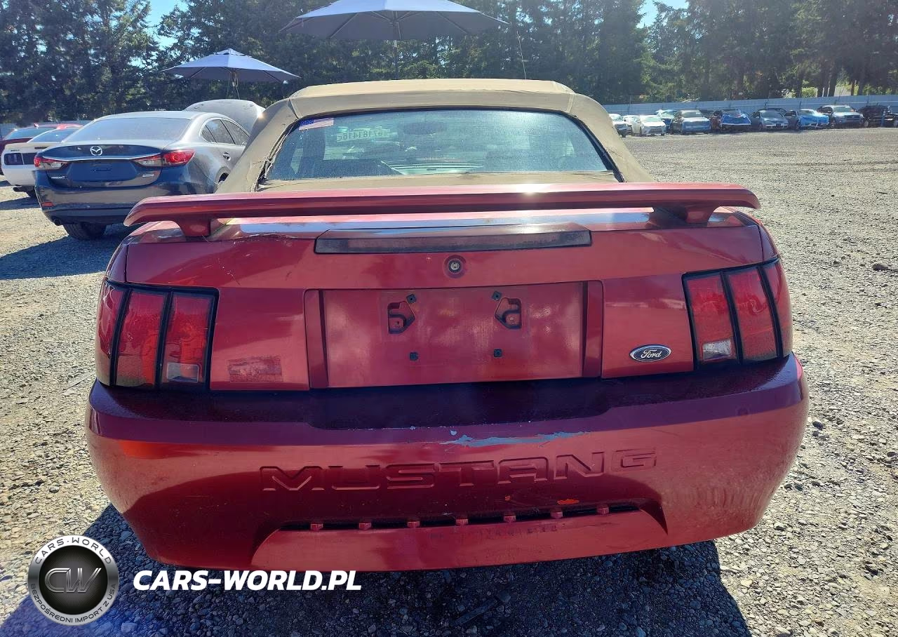 2004 Ford Mustang VIN:1FAFP44604F154650 - 6