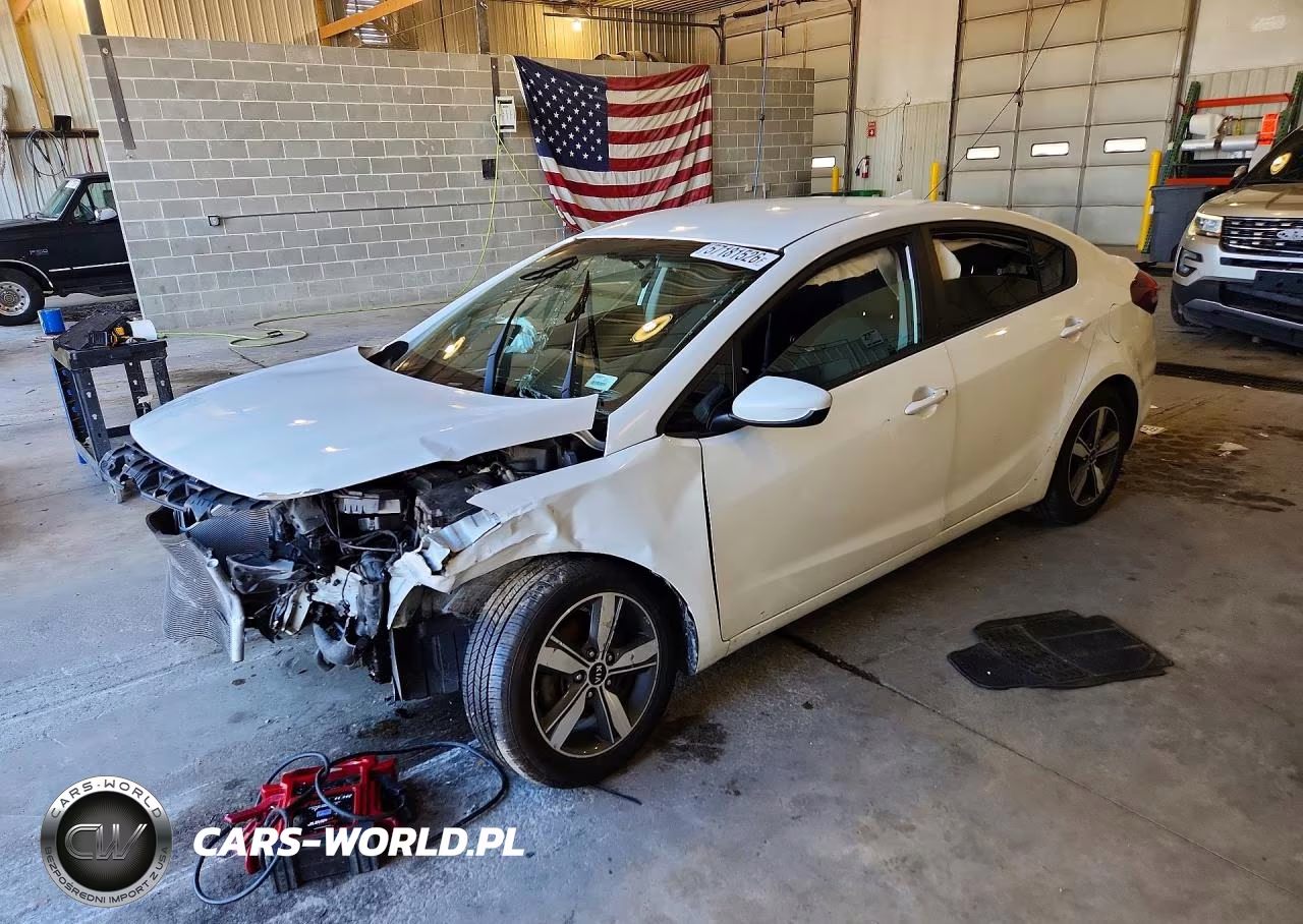 2018 Kia Forte Lx VIN:3KPFL4A71JE246813 - 1