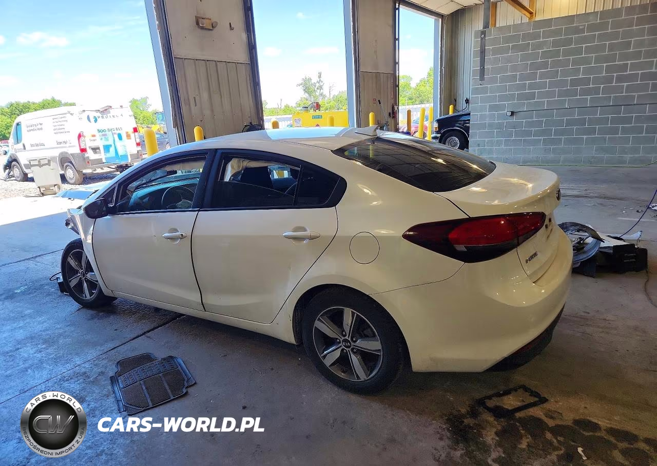 2018 Kia Forte Lx VIN:3KPFL4A71JE246813 - 2