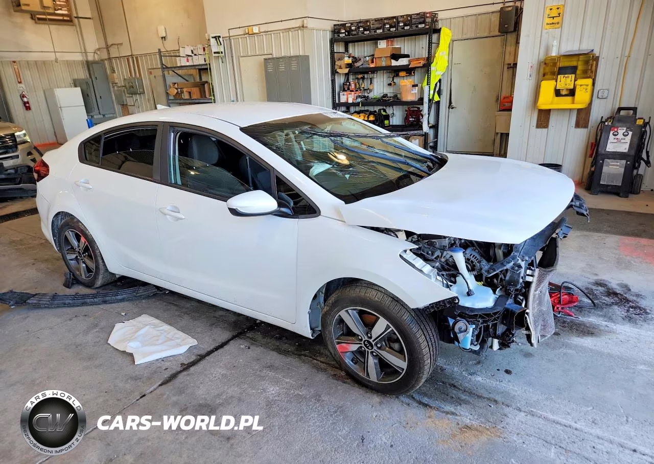 2018 Kia Forte Lx VIN:3KPFL4A71JE246813 - 4