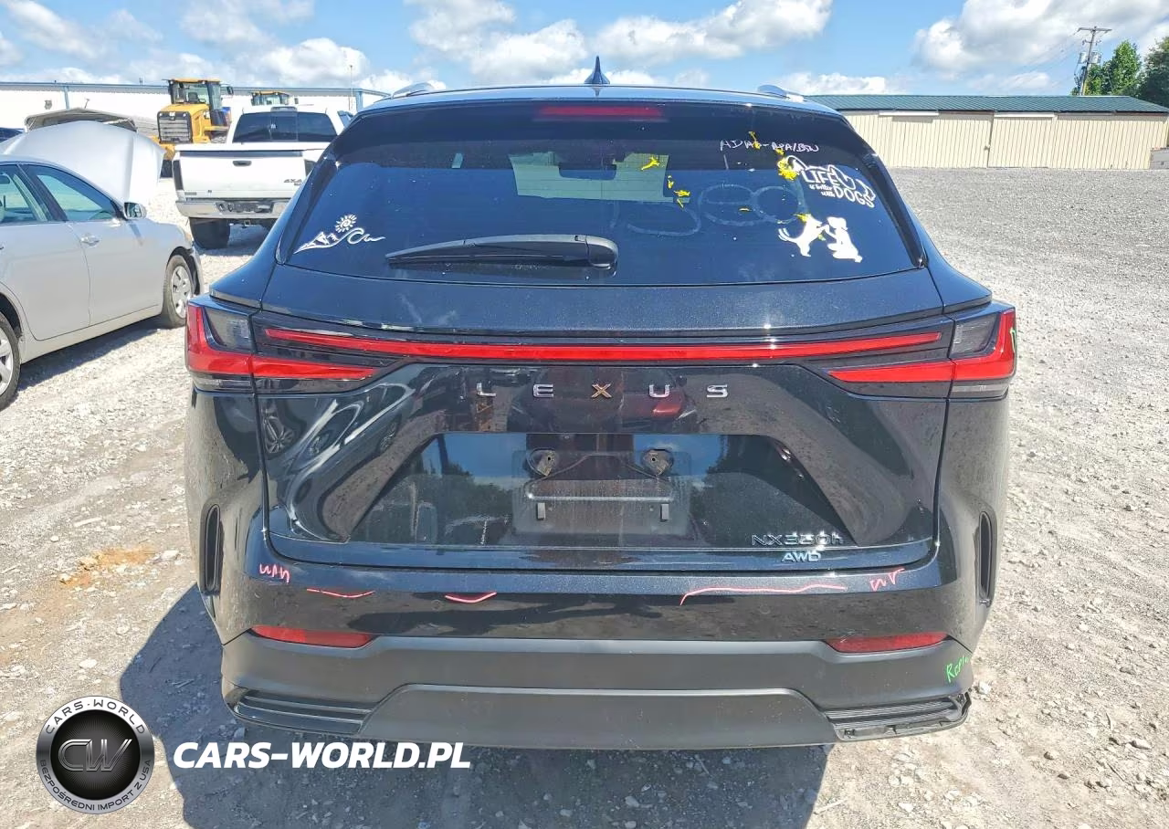 2023 Lexus Nx 350H VIN:2T2GKCEZ2PC011661 - 6