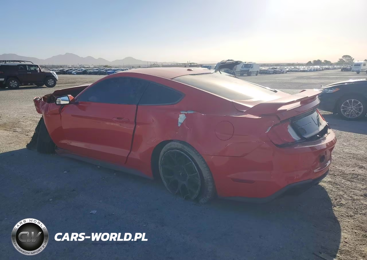 2019 Ford Mustang VIN:1FA6P8TH7K5181339 - 2