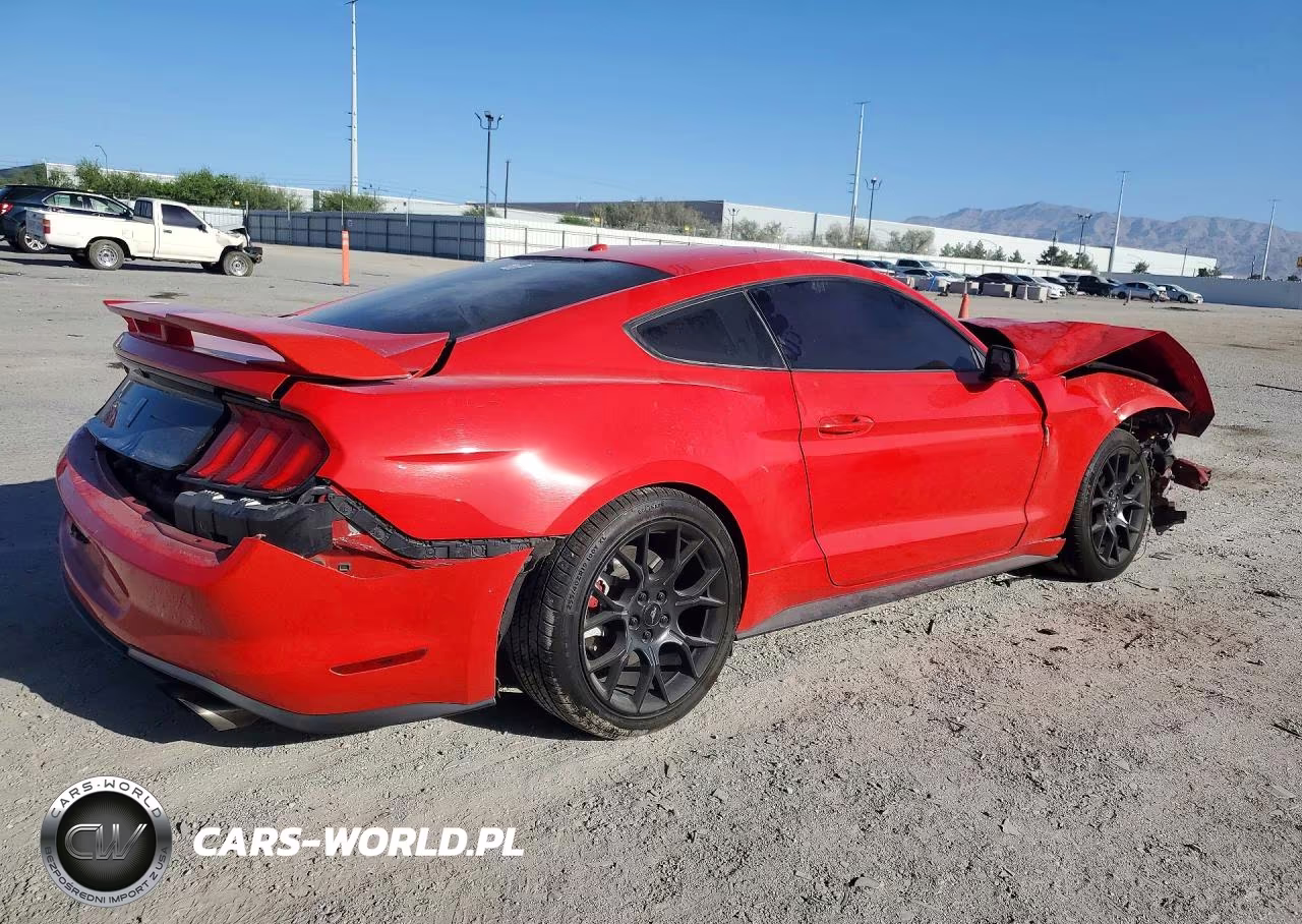 2019 Ford Mustang VIN:1FA6P8TH7K5181339 - 3