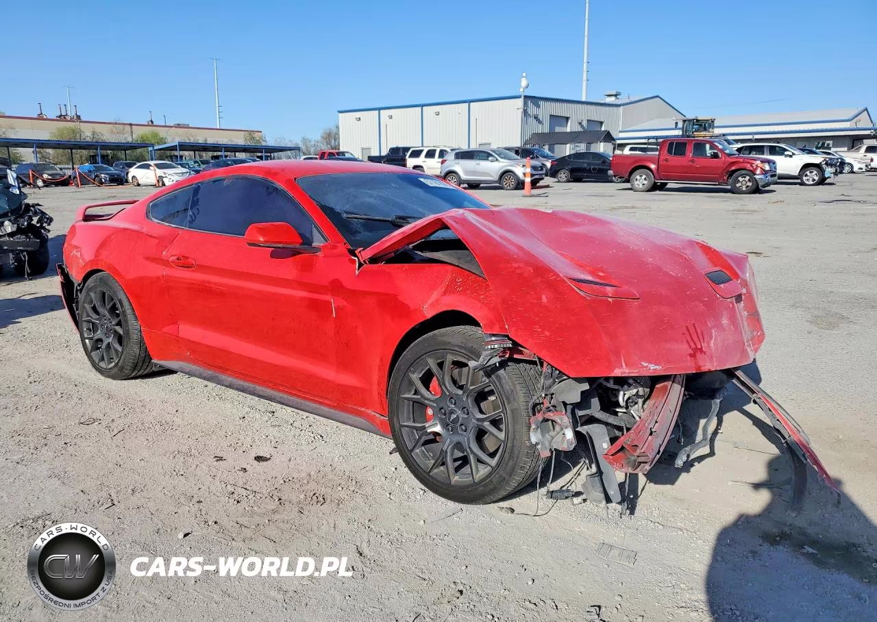 2019 Ford Mustang VIN:1FA6P8TH7K5181339 - 4