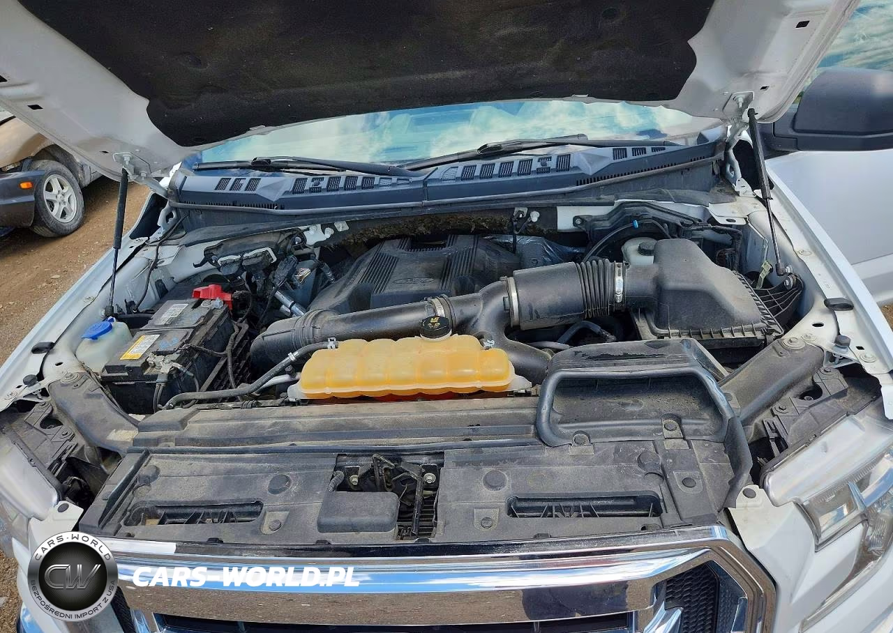 2017 Ford F150 Supercrew VIN:1FTEW1EG1HKD10853 - 12