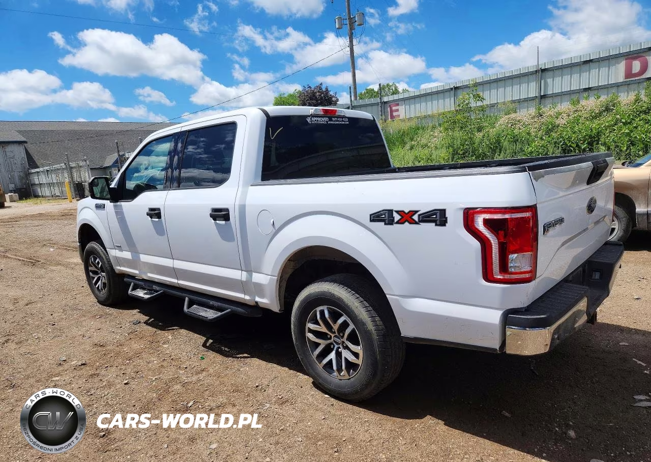 2017 Ford F150 Supercrew VIN:1FTEW1EG1HKD10853 - 2
