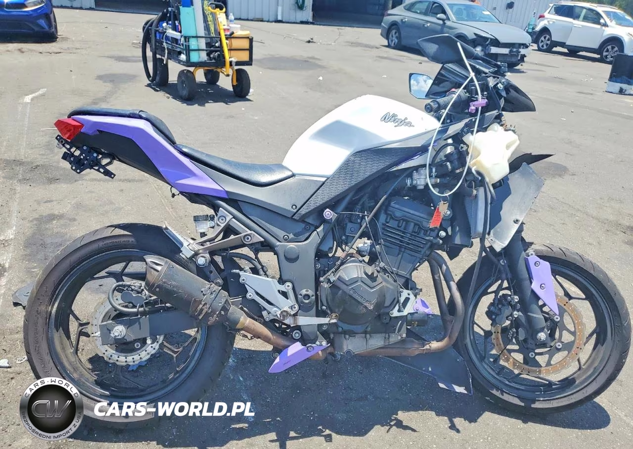 2017 Kawasaki Ex300 A