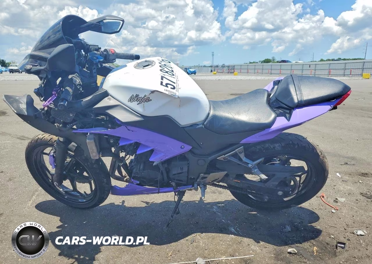 2017 Kawasaki Ex300 A VIN:JKAEX8A1XHDA31703 - 3
