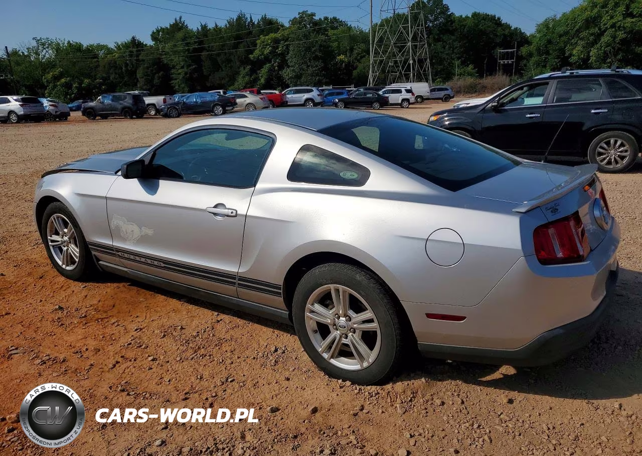2010 Ford Mustang VIN:1ZVBP8AN3A5152823 - 2