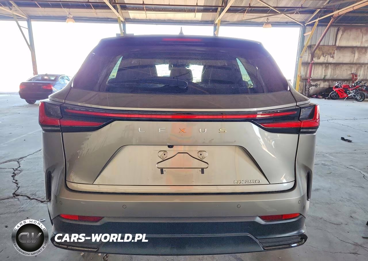 2025 Lexus Nx 250 VIN:2T2ADCAZXSCO22342 - 6