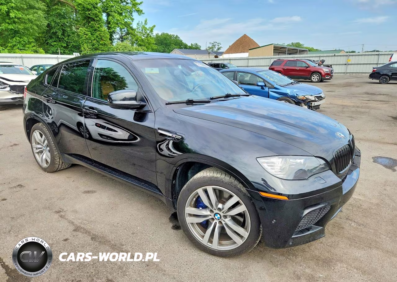 2012 BMW X6 M VIN:5YMGZ0C51CLL29683 - 4