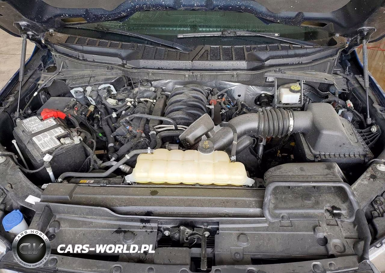 2023 Ford F150 Supercrew VIN:1FTFW1E50PKG09297 - 11