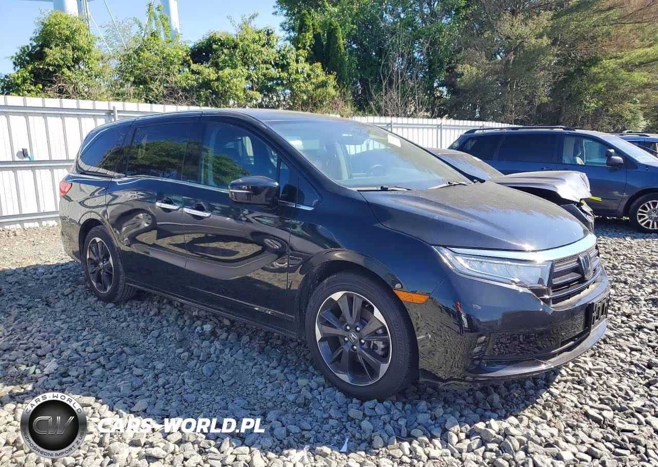 2024 Honda Odyssey Elite VIN:5FNRL6H94RB029942 - 4