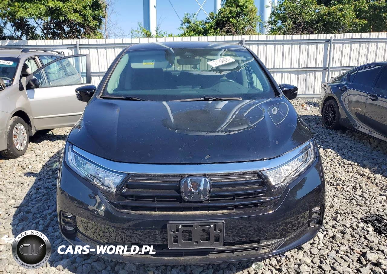 2024 Honda Odyssey Elite VIN:5FNRL6H94RB029942 - 5