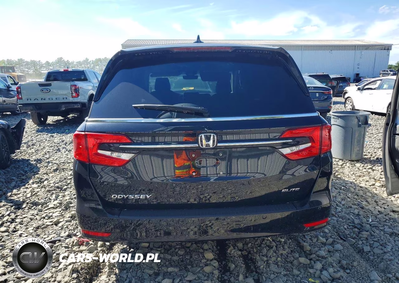 2024 Honda Odyssey Elite VIN:5FNRL6H94RB029942 - 6
