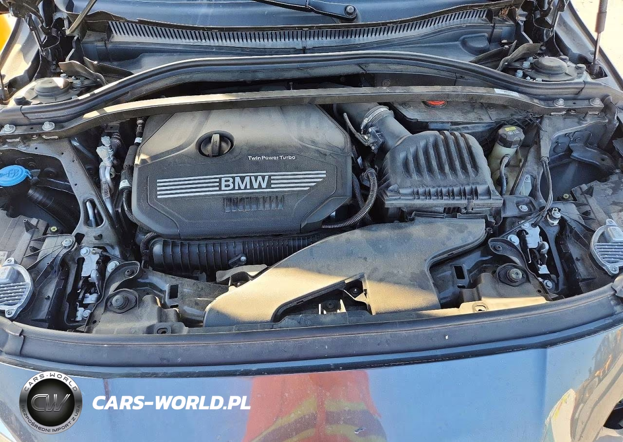 2021 BMW 228I VIN:WBA53AK00M7J33027 - 11