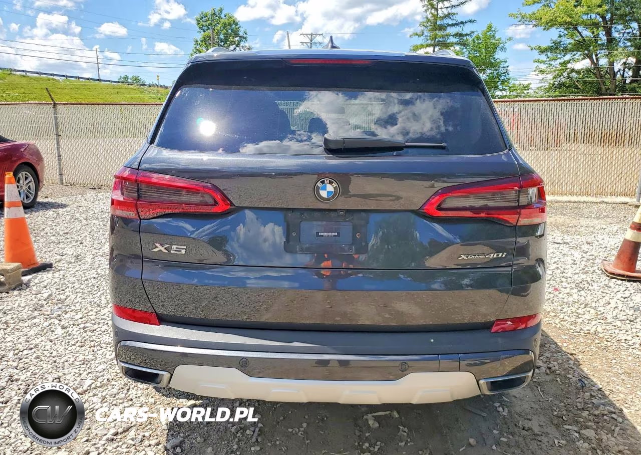 2020 BMW X5 xDrive40I VIN:5UXCR6C00L9B91390 - 6