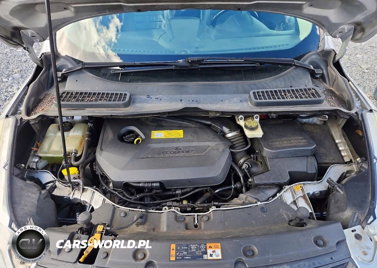 2014 Ford Escape Se VIN:1FMCU0GXXEUC10914 - 12