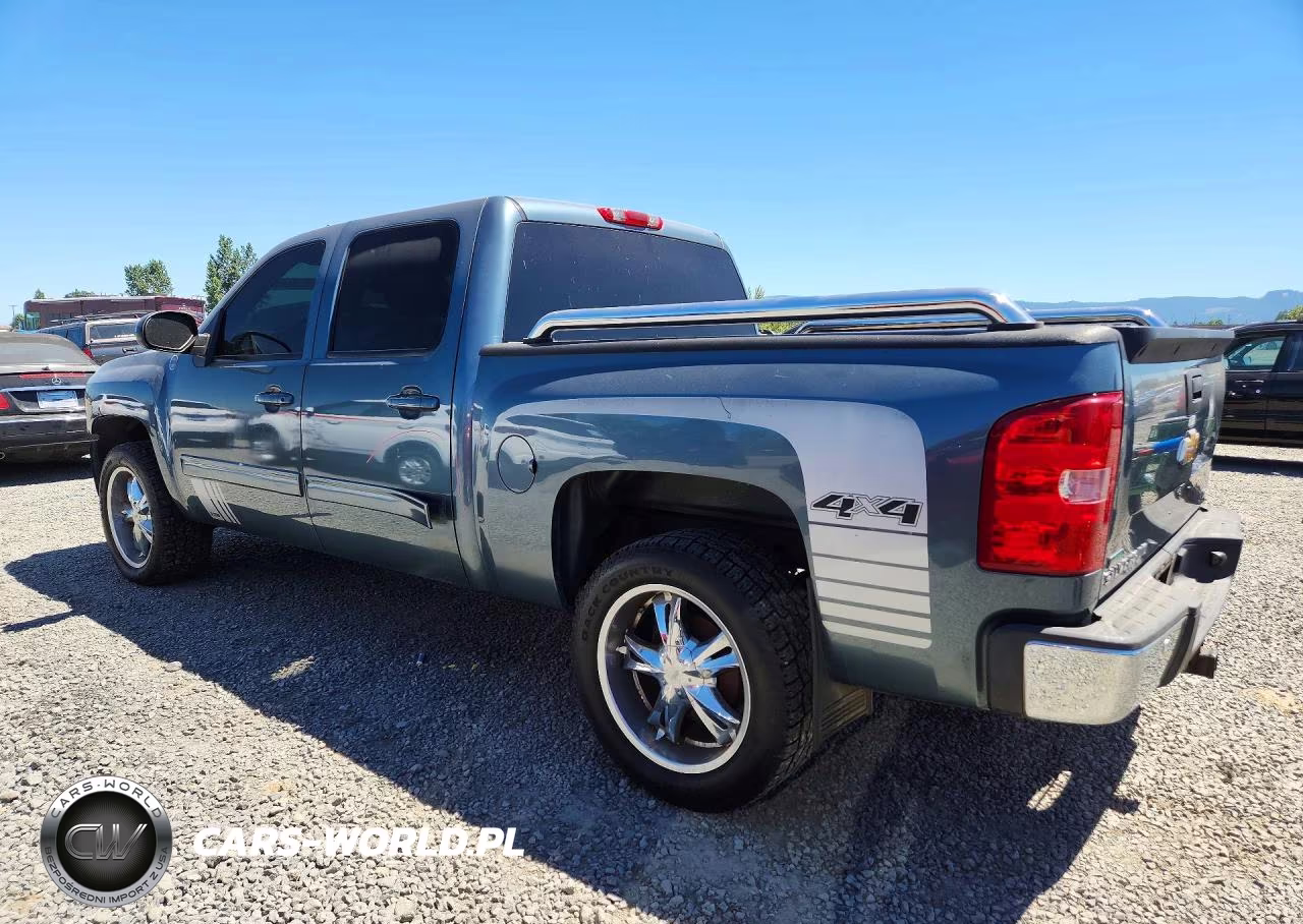 2009 Chevrolet Silverado K1500 VIN:3GCEK13349G145871 - 2