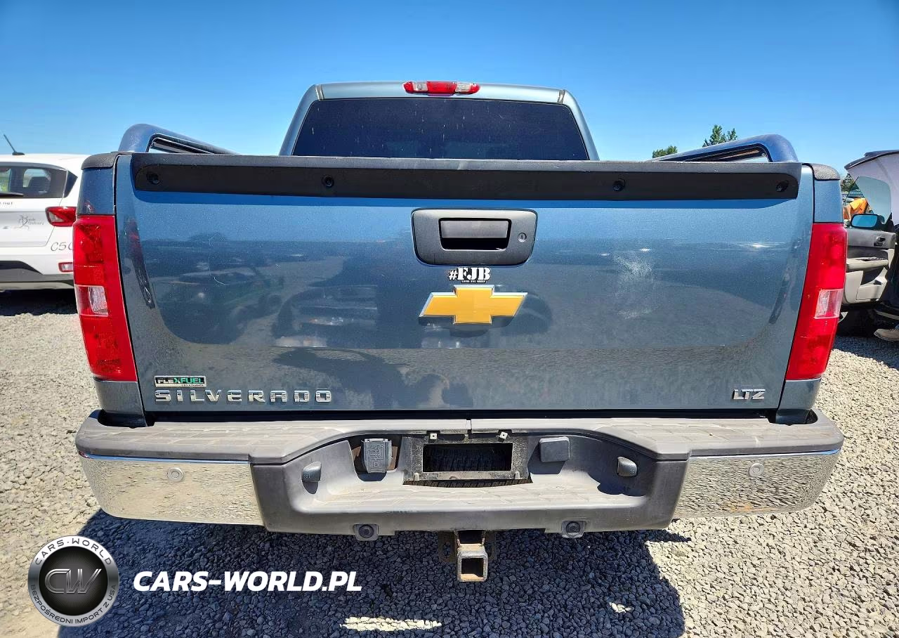2009 Chevrolet Silverado K1500 VIN:3GCEK13349G145871 - 6