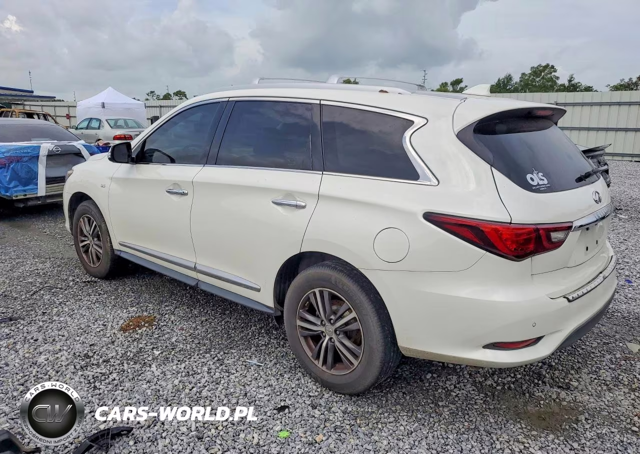 2019 Infiniti Qx60 Luxe VIN:5N1DL0MM3KC502438 - 2