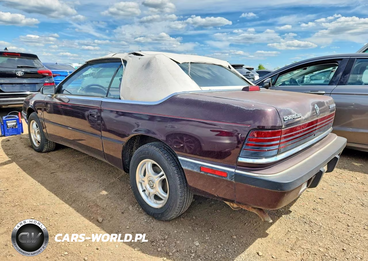 1991 Chrysler Lebaron VIN:1C3XJ4536MG100515 - 2