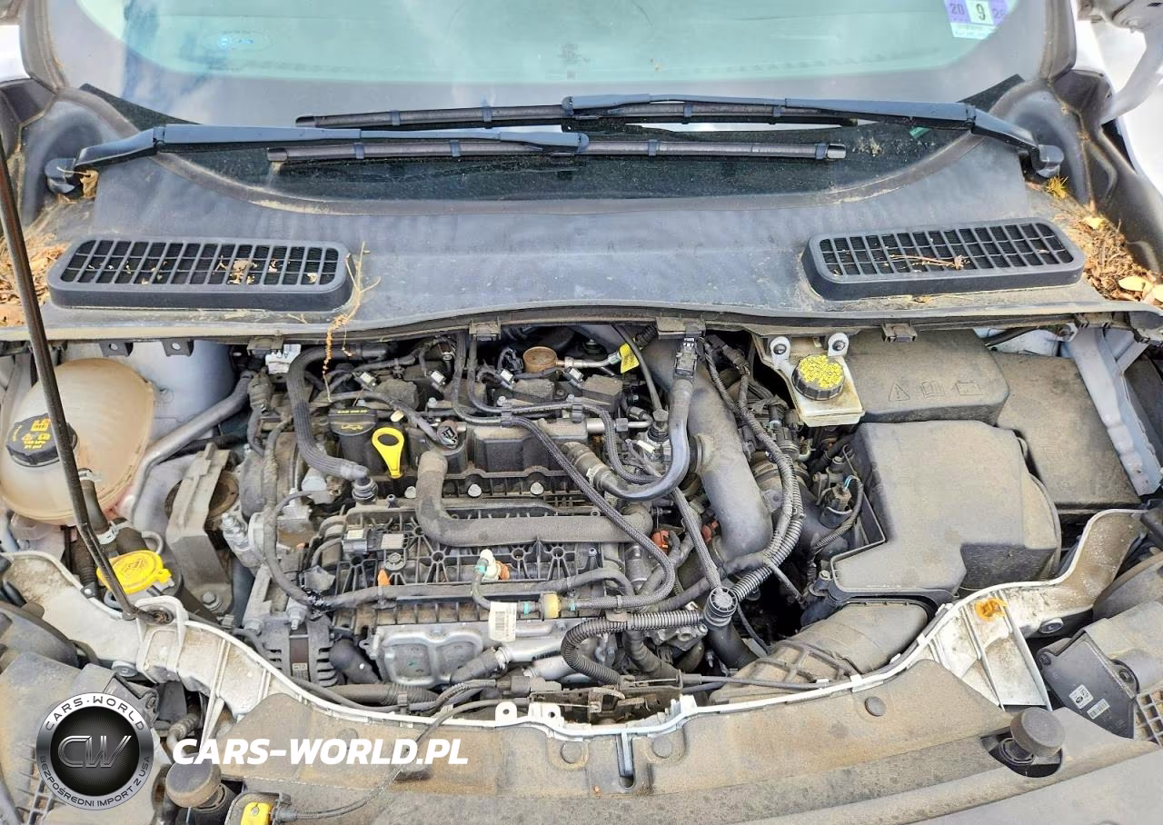2019 Ford Escape Sel VIN:1FMCU0HD6KUC18783 - 12