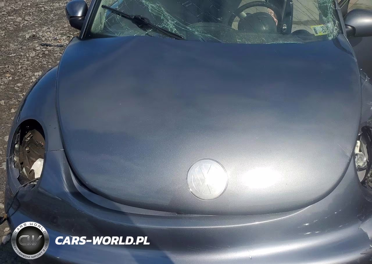 2005 Volkswagen New Beetle Gls VIN:3VWCK31C85M409897 - 11
