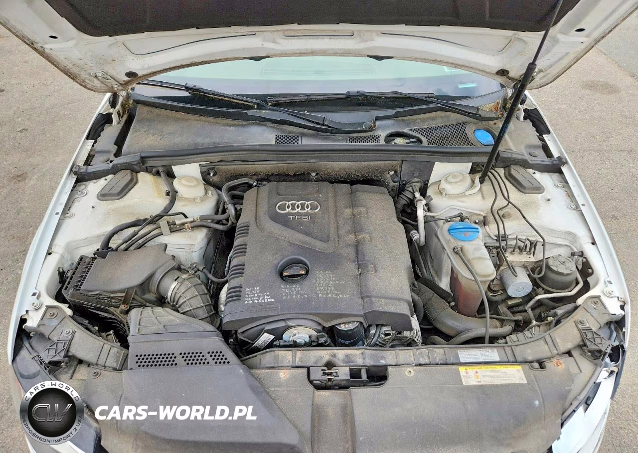 2011 Audi A4 Premium Plus VIN:WAUFFAFL8BN029992 - 11