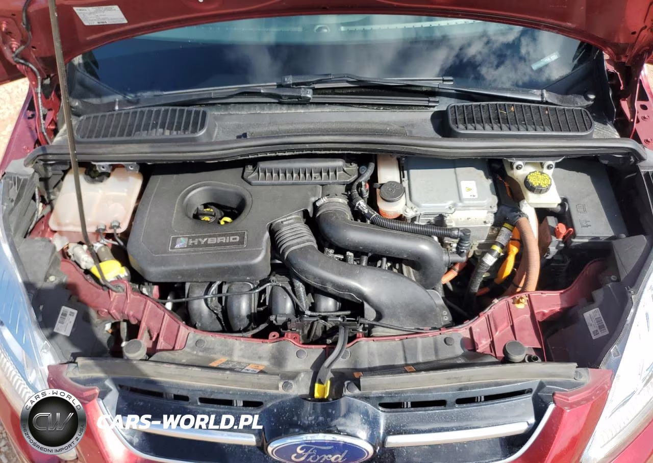 2017 Ford C-Max Titanium VIN:1FADP5DU1HL117786 - 11