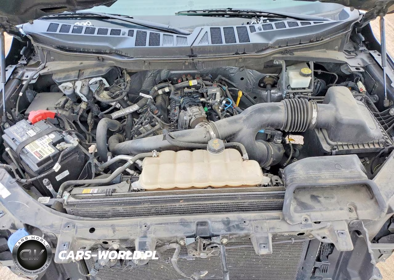 2021 Ford F150 Supercrew VIN:1FTEW1CP0MFB13226 - 11