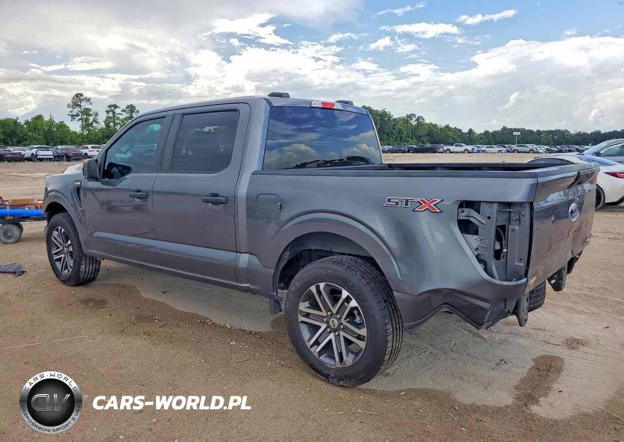2021 Ford F150 Supercrew VIN:1FTEW1CP0MFB13226 - 2