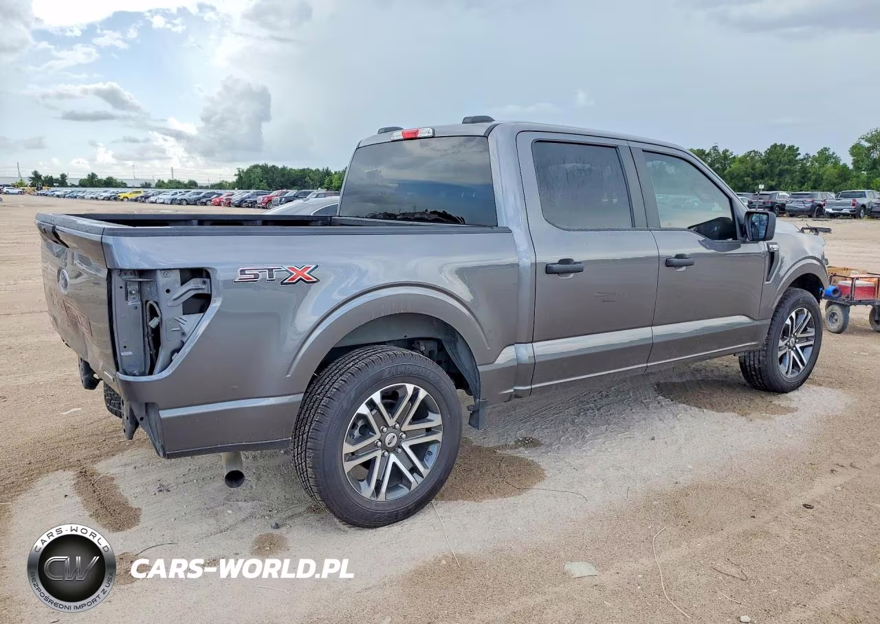 2021 Ford F150 Supercrew VIN:1FTEW1CP0MFB13226 - 3