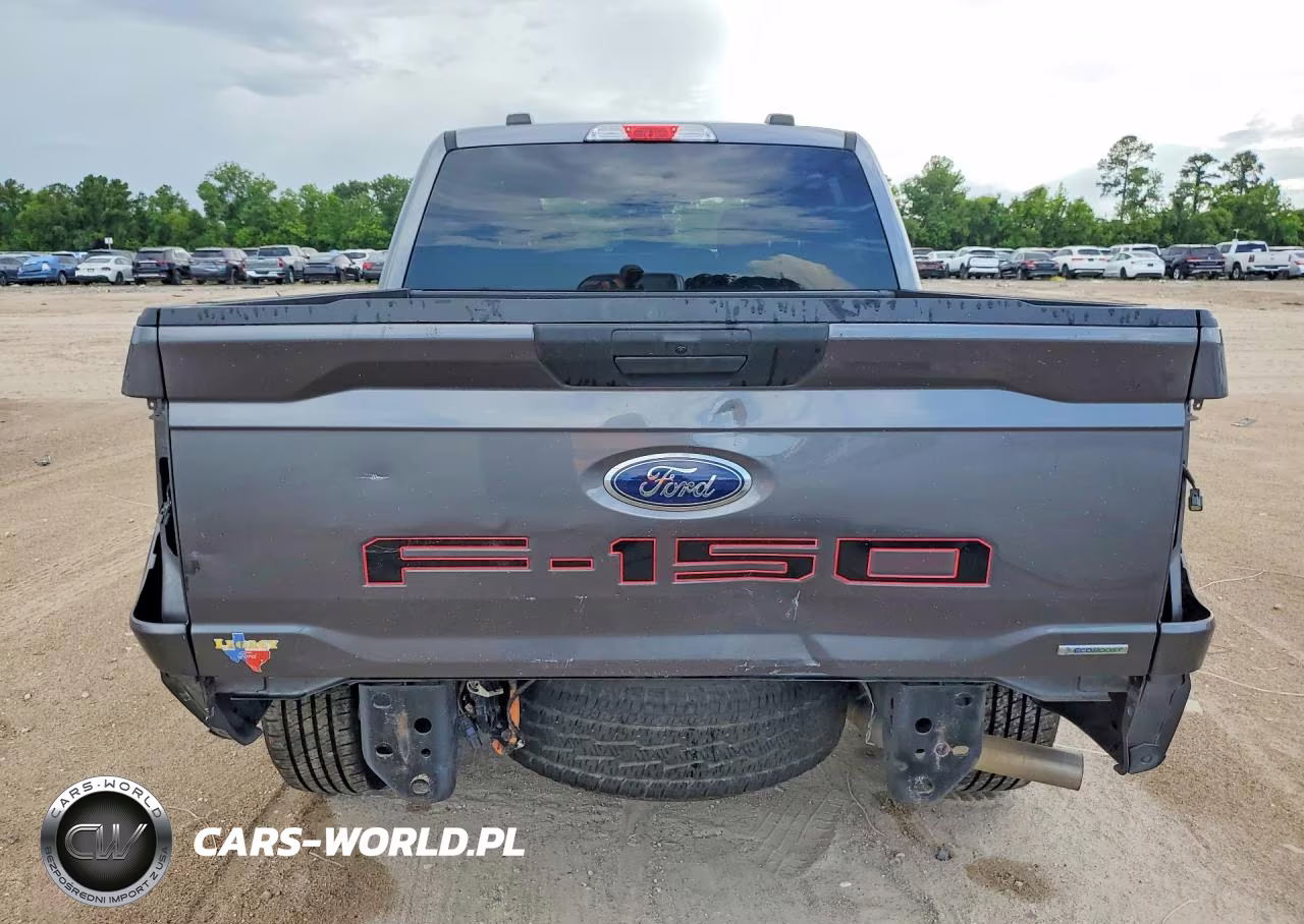 2021 Ford F150 Supercrew VIN:1FTEW1CP0MFB13226 - 6