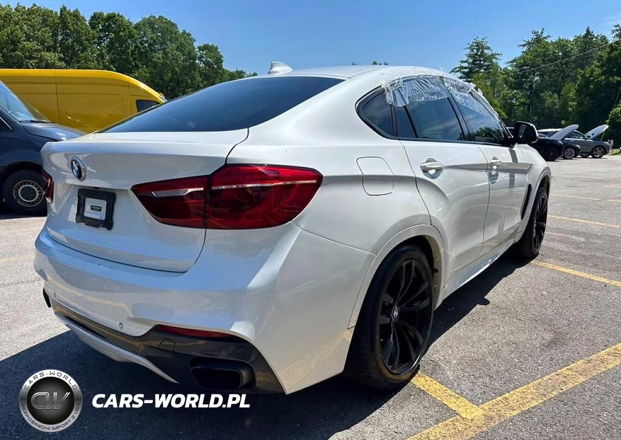 2018 BMW X6 xDrive50I VIN:5UXKU6C59J0W38979 - 3