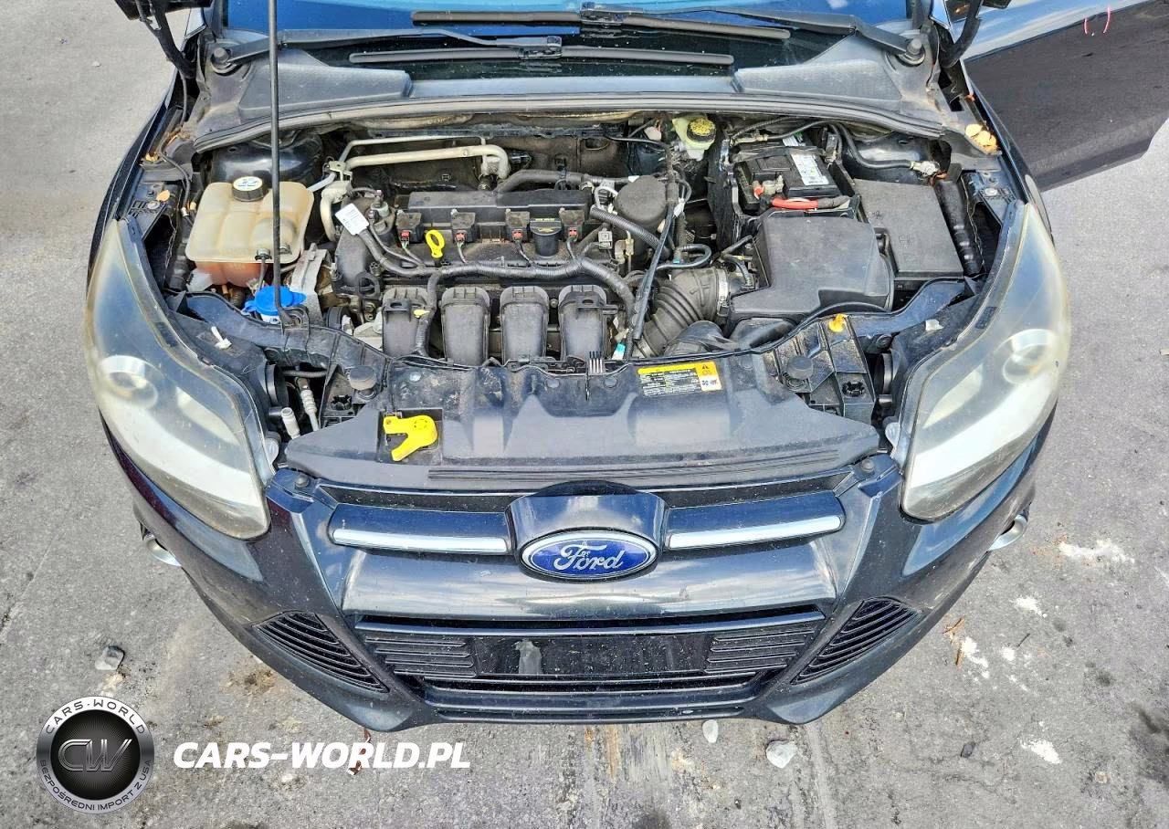 2013 Ford Focus Titanium VIN:1FADP3N24DL169814 - 11